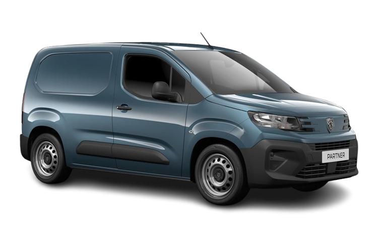 3979616 1000 1.2 PureTech 110 Professional Van