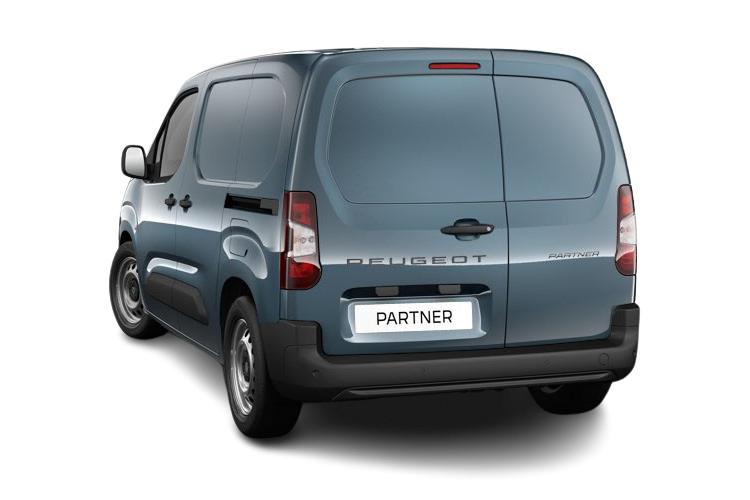 3979616 1000 1.2 PureTech 110 Professional Van